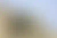 В Госдуме предложили новые требования для получения жилищных сертификатов_2786