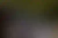 Деловую программу форума недвижимости «Движение» откроет CRE Day_5969