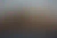 IQ Estate: «Какую роль эмоции играют в продаже элитной недвижимости»_443