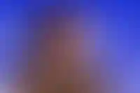 Набиуллина: волны банкротств не ожидается_2487