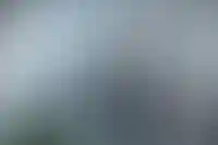 ДОМ.РФ запустил программу субсидирования аренды жилья для тех, кому недоступна ипотека_327