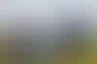 Воронеж, Волгоград и Самару признали самыми выгодными городами для маткапитала в 2024 году
_158