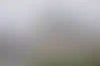 Доля ИЖС во введенном жилье достигла 71% за шесть месяцев 2024 года_669