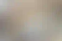 Уровень покрытия долгов на счетах эскроу упал до 72% — минимум с 2021 года_2660