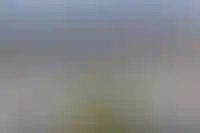 Москвичи лидируют по спросу на жилье в ДФО среди «приезжих» покупателей_4594