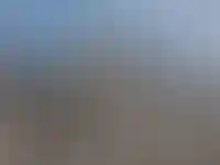 Предложение элитной недвижимости в Петербурге упало на фоне роста в Москве_3275