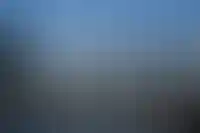 Самую дорогую квартиру на «первичке» в 2025 году продали за 1,26 млрд рублей_5254