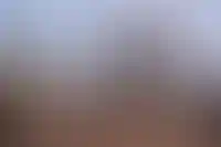 Пост главного архитектора Москвы может занять Артем Дедков — «Коммерсантъ»_6159