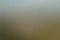 Доля вторичного рынка недвижимости в июле выросла до 70% после отмены льготной ипотеки_866