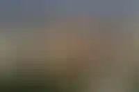 Какой город Подмосковья лучший для проживания: топ-6_615