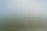 Тыва и Дагестан стали лидерами по росту ввода жилья в 2024 году_2335