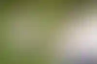 Пикник без штрафа: правила и запреты 2026 года_3154