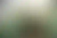 Заменить программу капремонта на всероссийскую реновацию предложили в Госдуме_3449