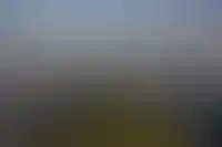 Кот в&nbsp;мешке: как максимально просто застройщику войти в&nbsp;проект КРТ

&nbsp;_159