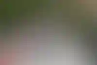 В Ленобласти ввели региональный маткапитал при рождении первого и второго ребенка_323