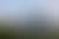 Новая штаб-квартира Wildberries появится в 75-этажной башне в «Москва-Сити»_4135