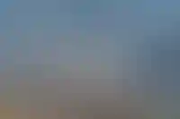 ГК «Самолет» решила не выплачивать дивиденды за 2024 год_3682