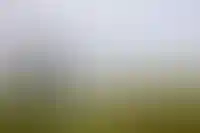 Коллективные инвестиции в стройке: что используют застройщики в 2025 году_4801