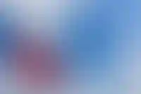 Путин поручил распространить льготную ипотеку в 2% на вторичку в новых регионах
_81