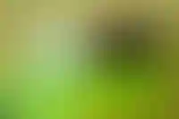 Запуски новых проектов жилья за месяц сократились более чем на треть_3441