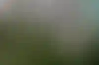 MR&nbsp;Group: &laquo;Поколение зумеров усилит спрос на&nbsp;малогабаритное жилье&raquo;_466