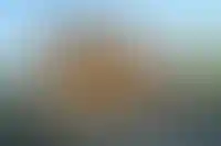 Подмосковье, Кубань и Приморье лидируют по числу ипотек на ИЖС_3848