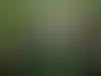 Омск стал лидером среди городов-миллионников по доступности переезда из «однушки» в дом с маткапиталом_1458