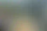 Выдачи дальневосточной ипотеки выросли в мае — единственной из госпрограмм_3288