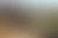 В Госдуме предложили отменить налог на дачные дома для пенсионеров_3263