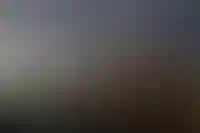 На курорты Кубани приходится 44% от общего числа бронирований по РФ на лето_3490