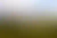 Продажи недвижимости за наличные в Москве сократились на 18%_1849