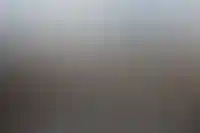 Застройщик «Москва сити» и фонд реновации в топе компаний с наибольшими накоплениями_4788