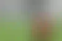 Лимиты по семейной ипотеке перераспределят после 7 октября_1357