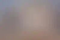 Доля профессиональных застройщиков в ИЖС с ипотекой выросла за год в 1,4 раза_3947