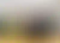 Спрос на посуточную аренду жилья на время майских праздников вырос на 14%_3089