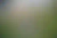 Зубаревич: покупателей жилья будет к 2030 году на 30% меньше_3659