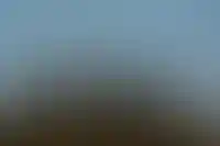 Минстрой ищет способ сгладить последствия отмены моратория на неустойки_4757