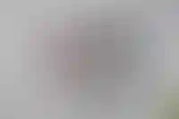 13 регионов начали компенсировать расходы на аренду жилья для семей с детьми_3905