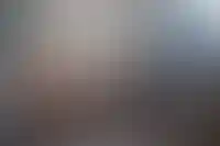 Число мигрантов в России сократилось на треть за семь лет_2191