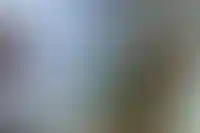 Поток мигрантов из Узбекистана и Туркменистана вырос в 2024 году_1364