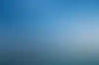 ДОМ.РФ выставил на торги 334 га земли под КРТ на острове Русский во Владивостоке_5044