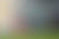 Выдача льготной ипотеки в Сбере после отмены комиссий для застройщиков упала на 10%_3773