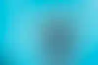 «Движение» стало социальной сетью рынка недвижимости_3643