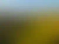 Лишь четверть россиян доверяют строительство дома профессионалам_4567