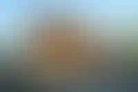 В Минстрое признали проблемы с законом об эскроу-счетах в ИЖС_962