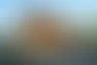 До 14 млн граждан России планируют улучшить свои жилищные условия_989