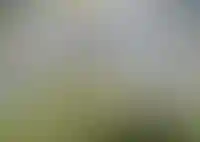 Средний возраст квартир на вторичном рынке в мегаполисах России — 28 лет_2908