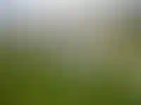 Эскроу-счета в ИЖС: рынок учится работать по-новому_3575