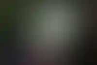 Capital Group и Alias Group могут застроить 3,5 млн кв. м у нацпарка «Лосиный Остров»_3521