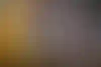 «Искусство в жилом комплексе увеличивает его стоимость на 10–15%»_660